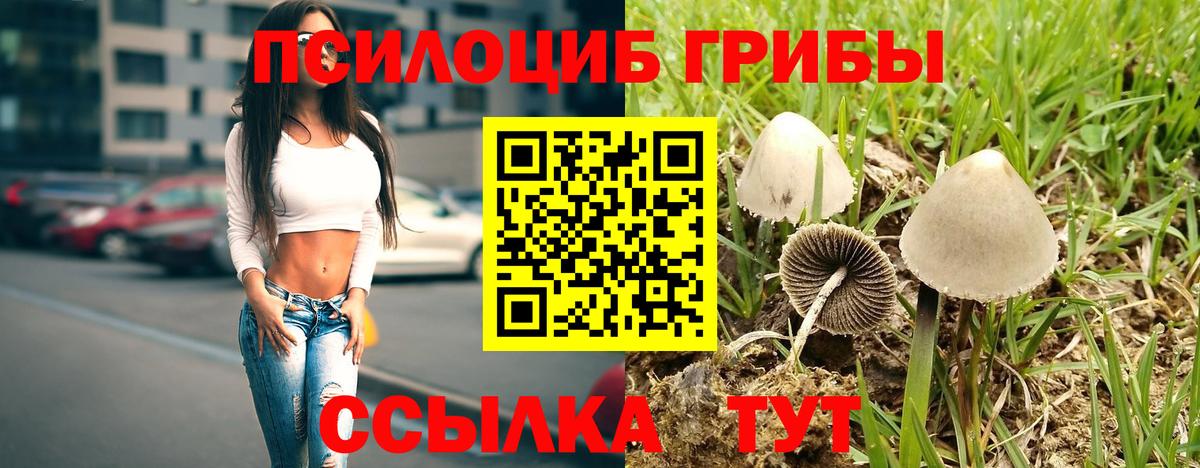 Псилоцибиновые грибы MAGIC MUSHROOMS Родники